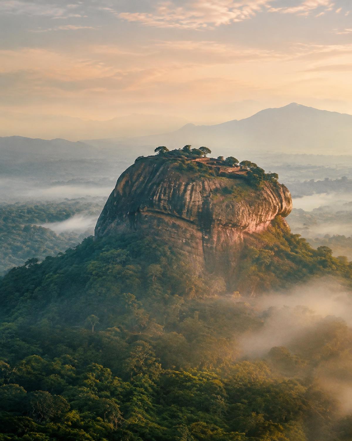 The Cultural Triangle & Tea Country
